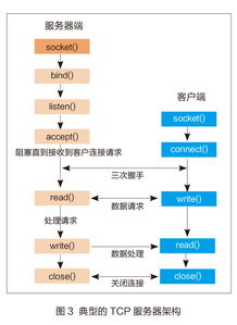 南通大學IPv4與IPv6雙協(xié)議棧Web服務器設計與物聯(lián)網技術服務集成